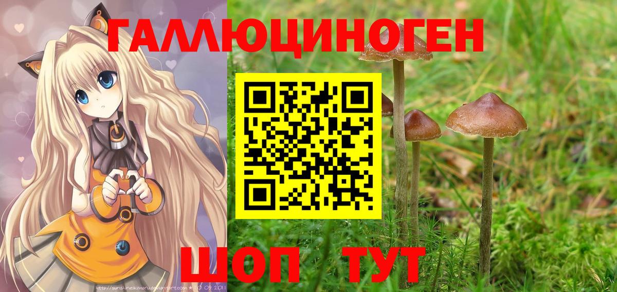 Иркутск  Псилоцибиновые грибы Cubensis  Вход с VPN 
