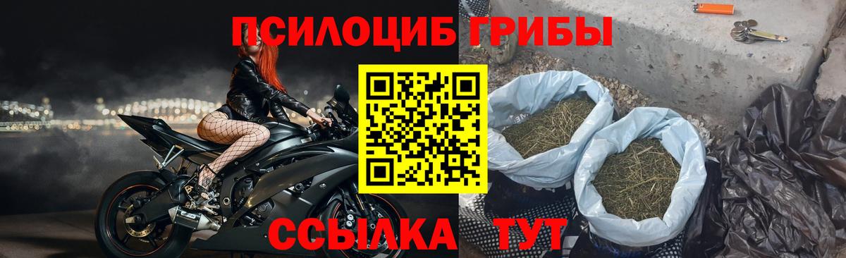 Псилоцибиновые грибы GOLDEN TEACHER Иркутск